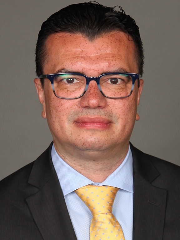Vitor M. Pereira